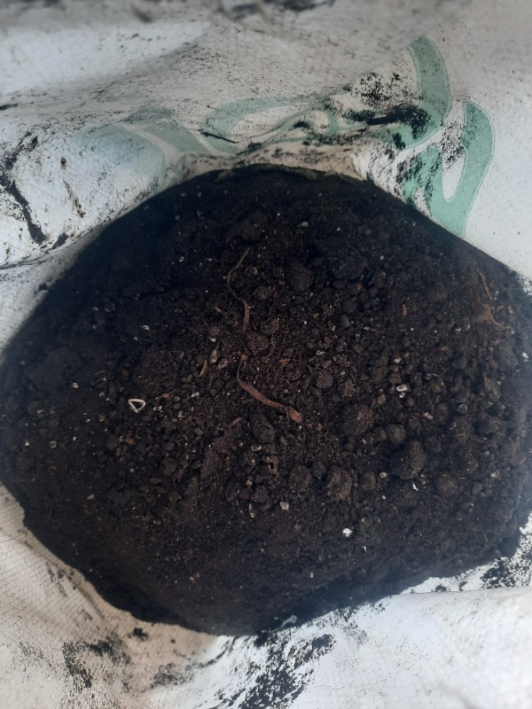 Toru Soil Perlit 50 Lt