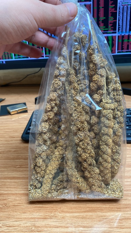 Eurogold Doğal Dal Darı 250 Gr