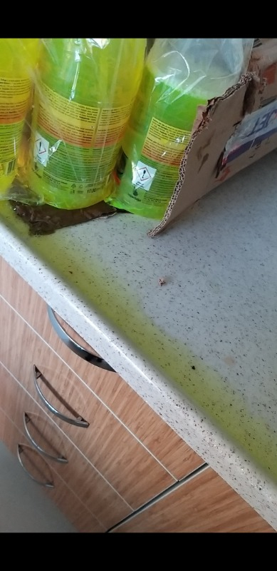 Asperox Sarı Güç Ultra Yağ Çözücü 1 Lt Sprey