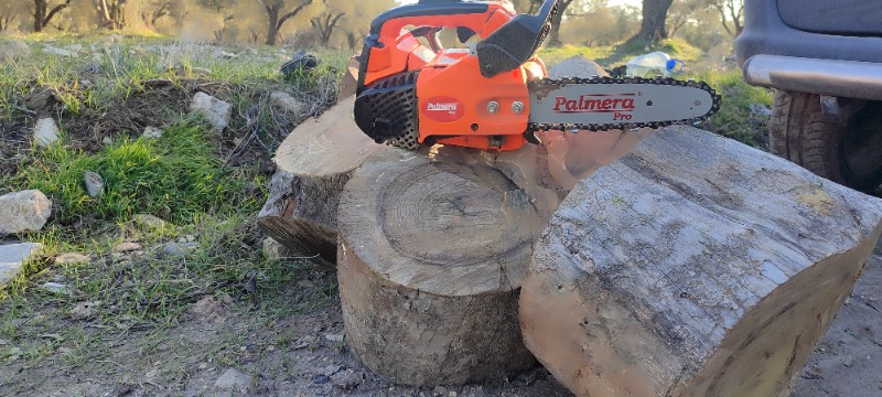 Palmera ZL2501 Pro Motorlu Testere