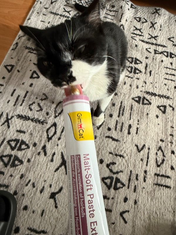 Gimcat Malt Soft Extra 100 gr