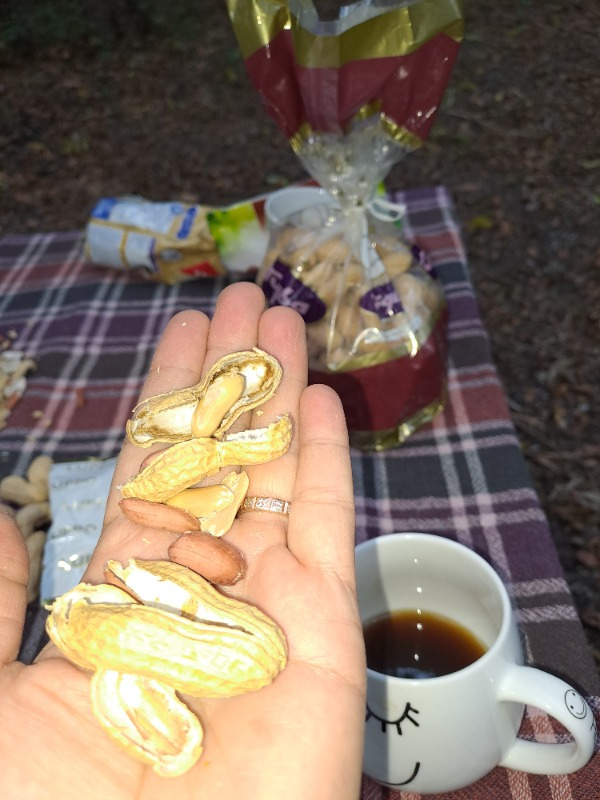 Tuğba Kuruyemiş Kabuklu Fıstık 500 gr