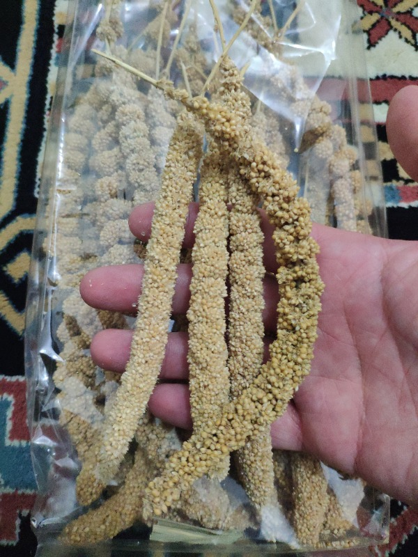 Eurogold Doğal Dal Darı 250 Gr