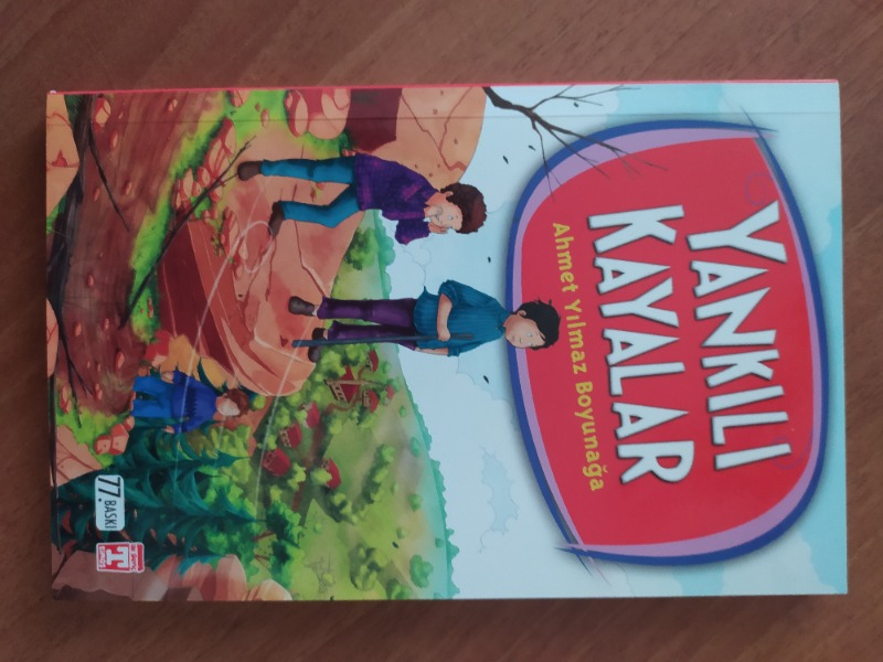 Yankılı Kayalar - Ahmet Yılmaz Boyunağa