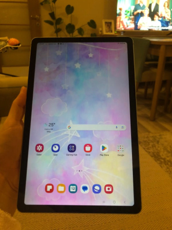 Samsung Galaxy Tab S6 Lite (2024) SM-P620 4gb 128GB 10.4" Tablet