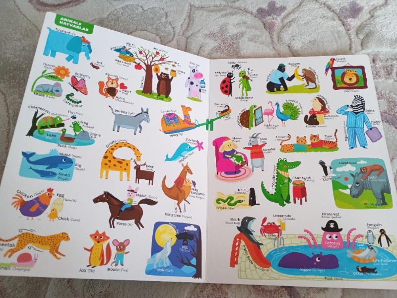 visual-comment-img