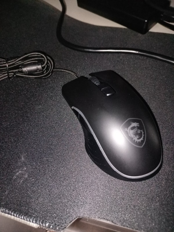 MSI GG FORGE GM300