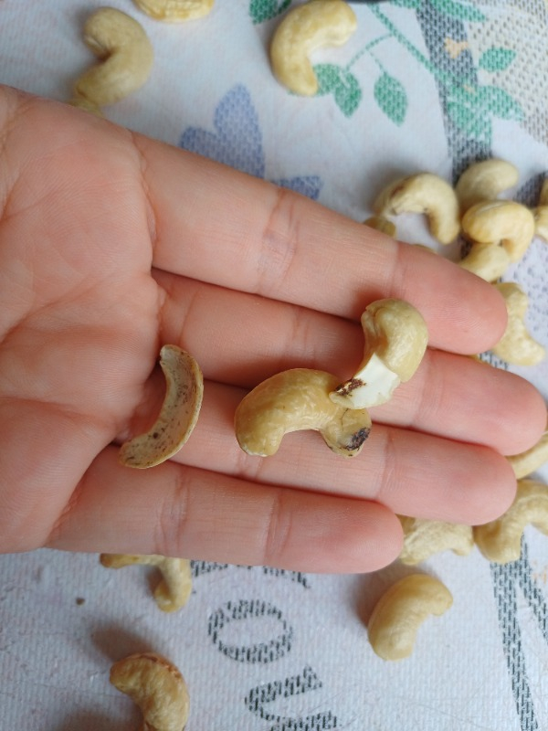 List Nuts Çiğ Kaju 1 kg