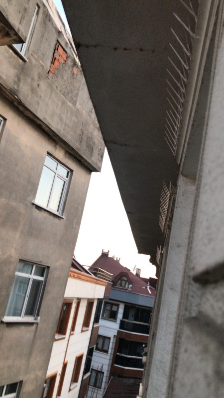 Expel Plastik Kuşkonmaz Bariyer Kuş Engelleyici Tel 3D Model 20'li