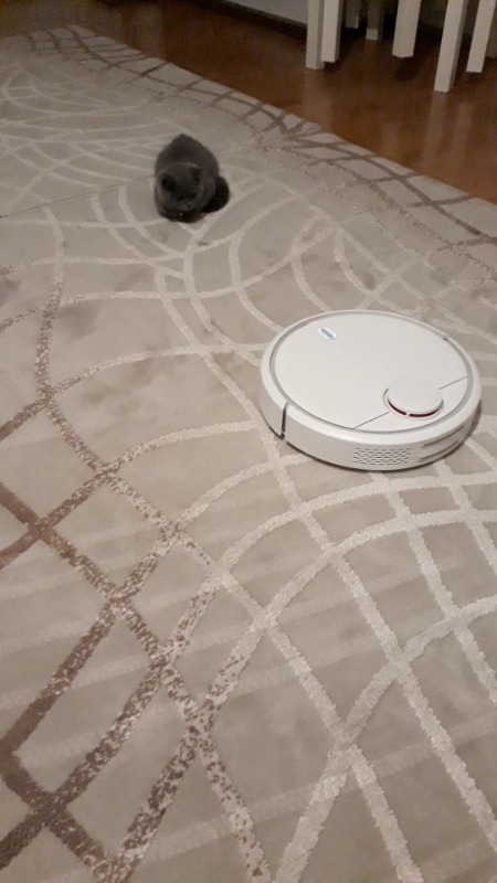 Xiaomi Yüksek Emişli Akıllı Robot Süpürge - Mi Vacuum Cleaner