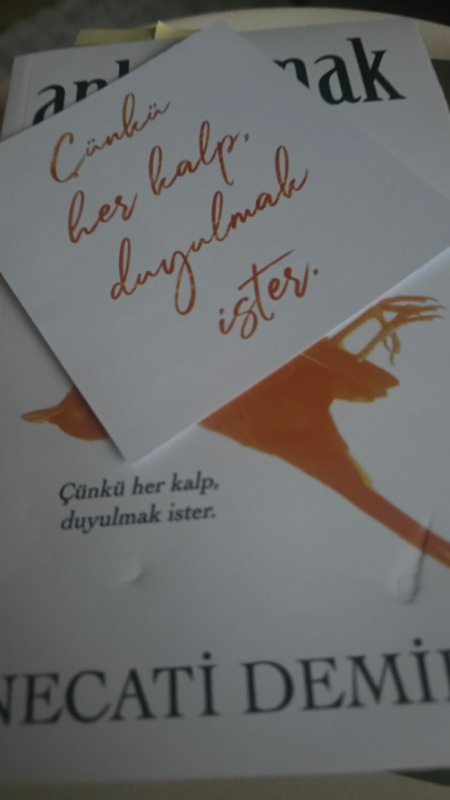 İndigo Kitap Anlaşılmak - Necati Demirci