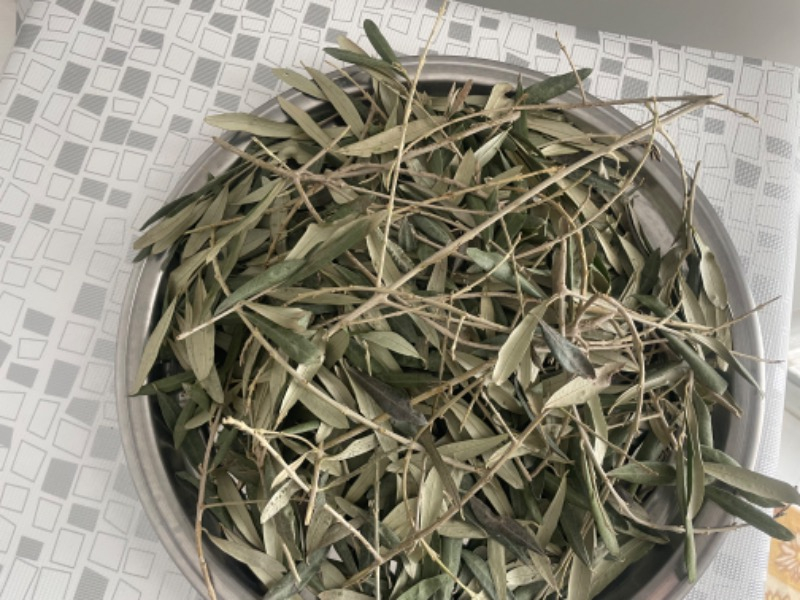 Ayvalık Baharat Zeytin Yaprağı 250 gr