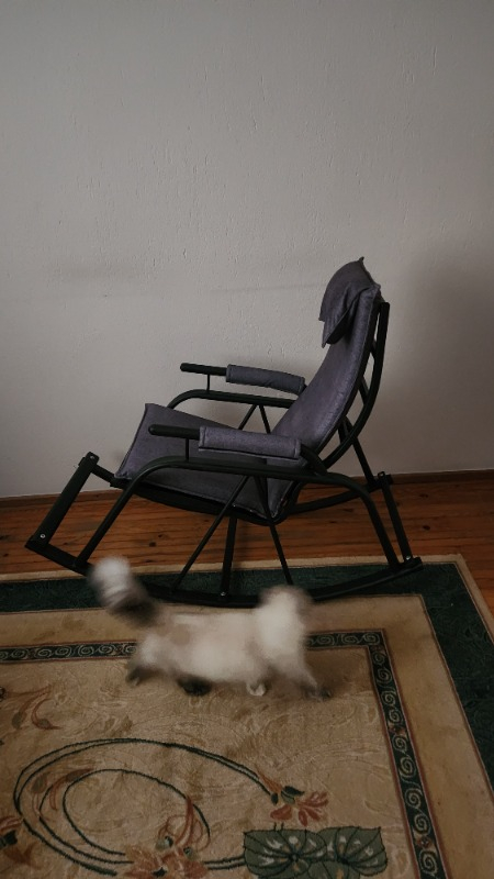 visual-comment-img