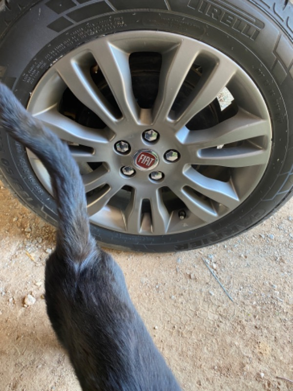 Oto Craft Bijon Kapağı 17 mm Krom 20 Adet