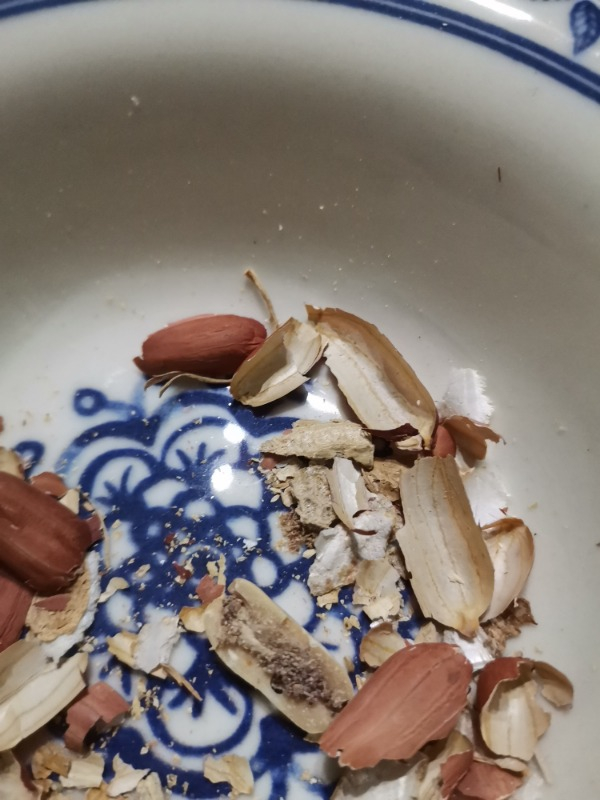 Tuğba Kuruyemiş Kabuklu Fıstık 500 gr