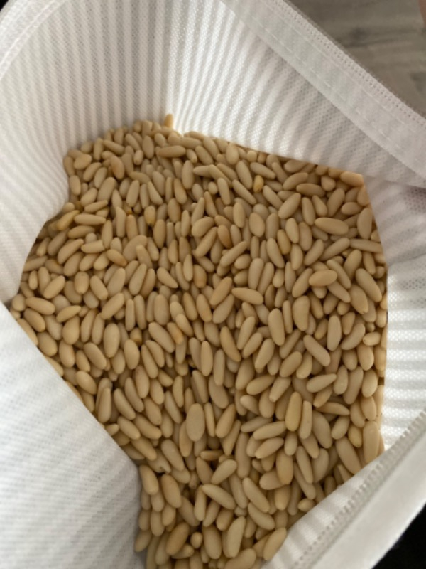 Parmak Baharat Dolmalık Çam Fıstığı 1 kg