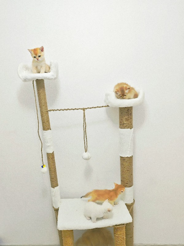 visual-comment-img