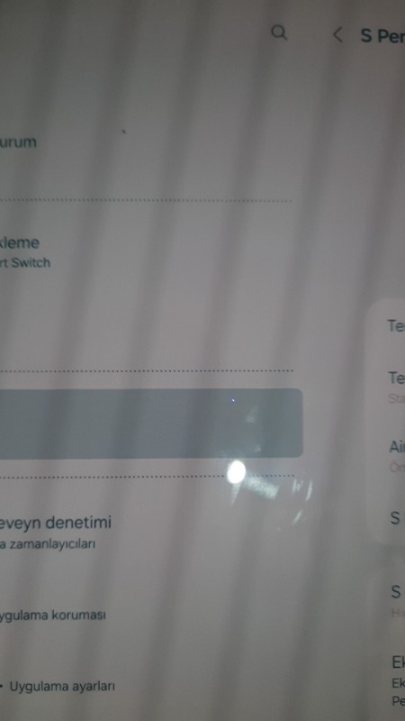 Samsung Galaxy Tab S9+ 256GB 12.4" Tablet - Bej