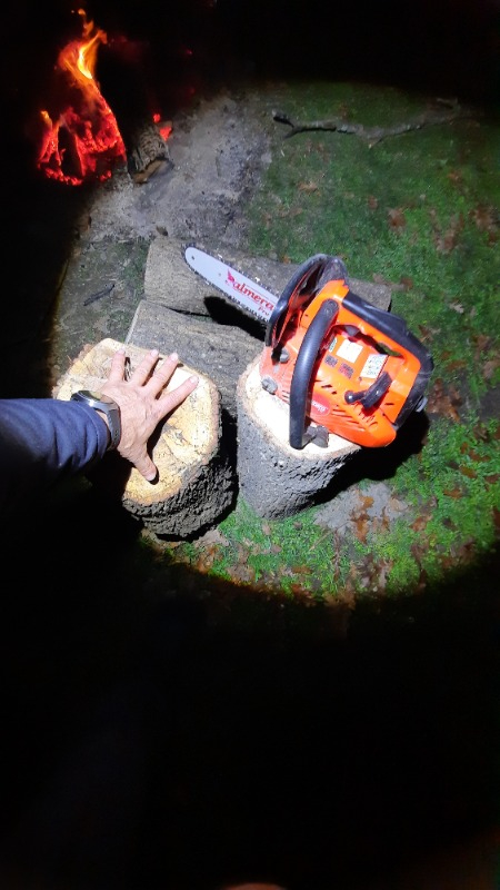 Palmera ZL2501 Pro Motorlu Testere