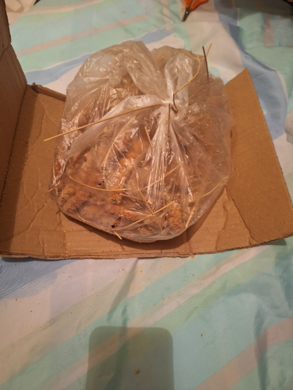 Eren Pet Doğal Üretim Kızıl Dal Darı (500 Gr.)