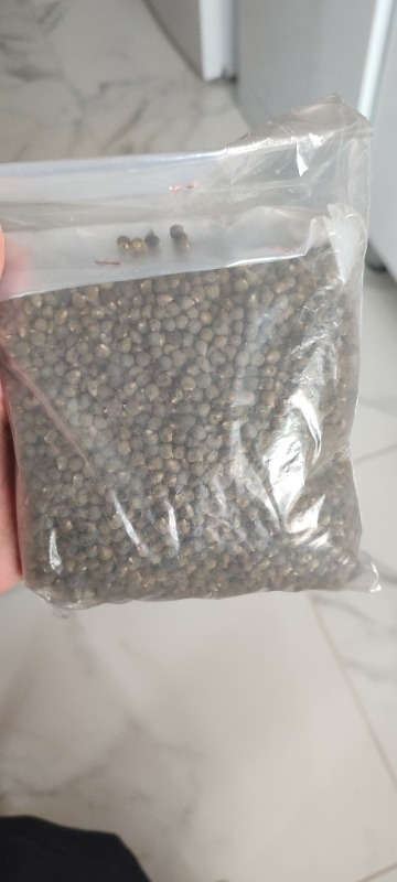 Attargani Bamya Tohumu 250 g