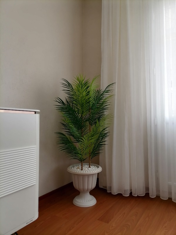 visual-comment-img