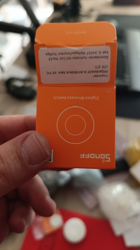 Sonoff Mini R4 Matter Akıllı Röle
