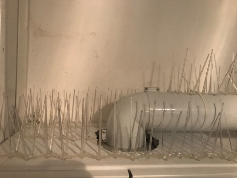 Expel Plastik Kuşkonmaz Bariyer Kuş Engelleyici Tel 3D Model 5'li