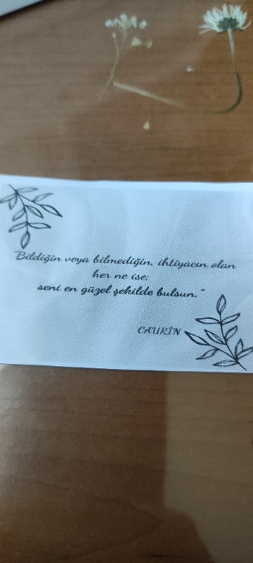 Stella Eşarp Stella Kadın Penye Şal Bordo