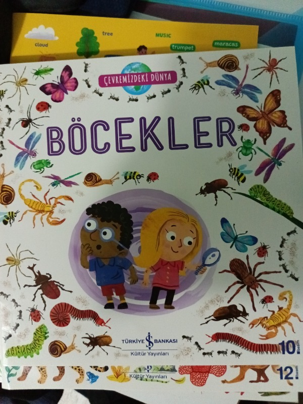 Çevremizdeki Dünya Böcekler