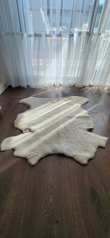 visual-comment-img
