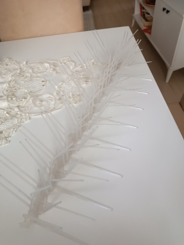 Expel Plastik Kuşkonmaz Bariyer Kuş Engelleyici Tel 3D Model 10'lu