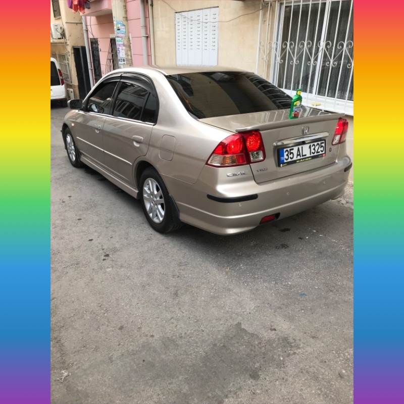 Turtle Wax Boya Koruyucu Carnauba Sıvı Cila 500 ml