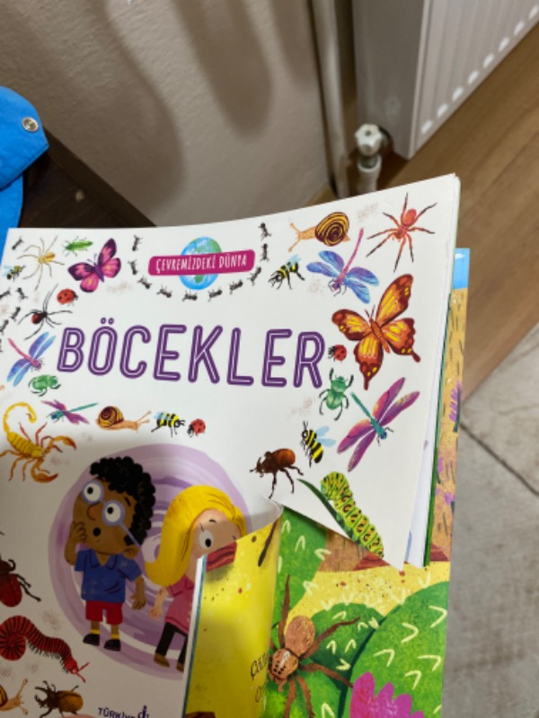Çevremizdeki Dünya Böcekler