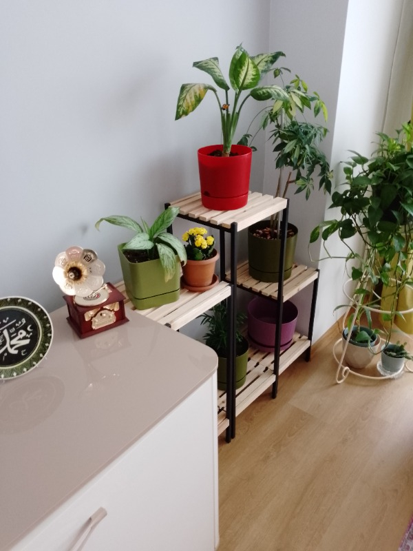 Poliwork Begonya 16 cm Yeşil Kare Tabaklı Saksı