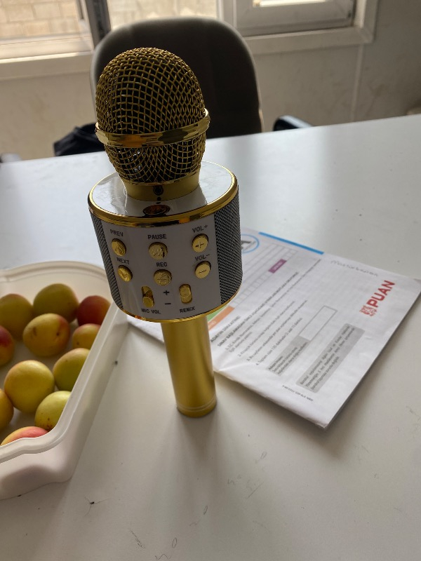Okmore Bluetooth Karaoke Mikrofon