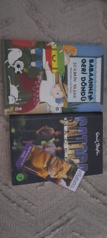 Taze Kitap Babaannem Geri Döndü - Şermin Yaşar