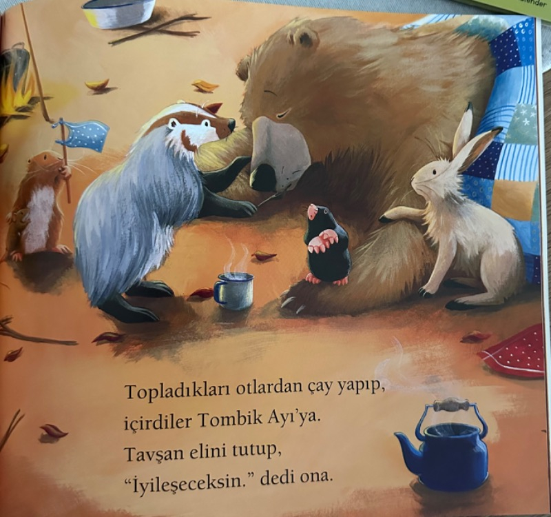 Tombik Ayı Hastalanınca - Jane Chapman