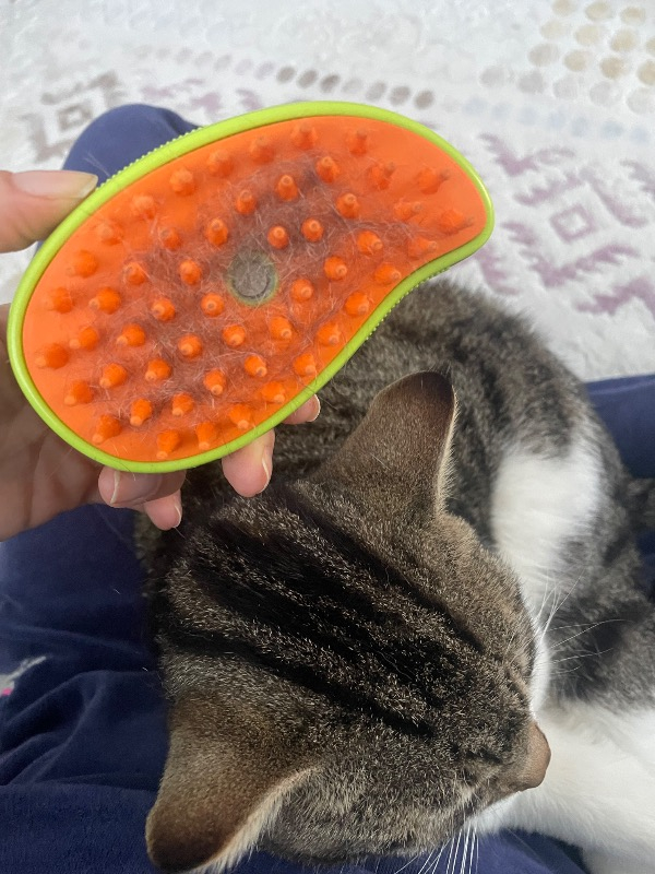 Pet Brush Kedi Köpek Buharlı Tarak