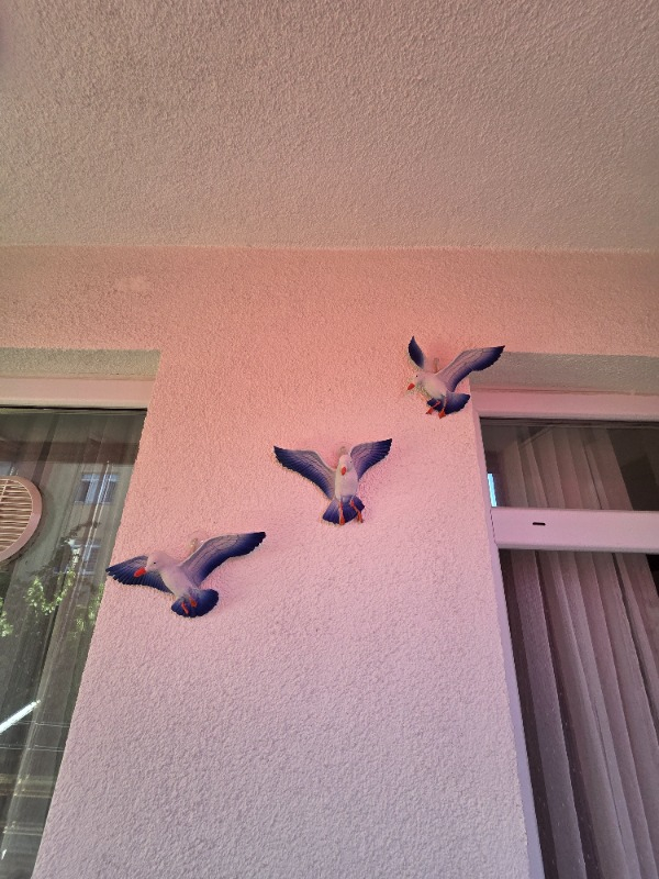 visual-comment-img