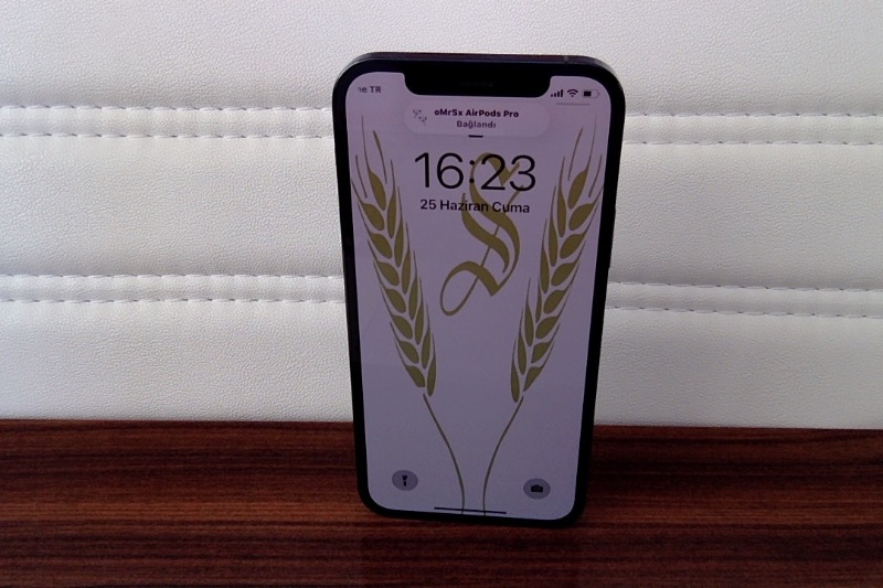 iPhone 12 Pro 256 GB