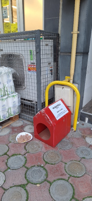 visual-comment-img