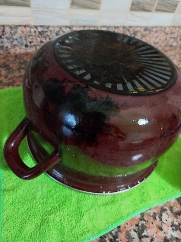 Selsil Pak Genel Amaçlı Temizleyici 500 gr x 2