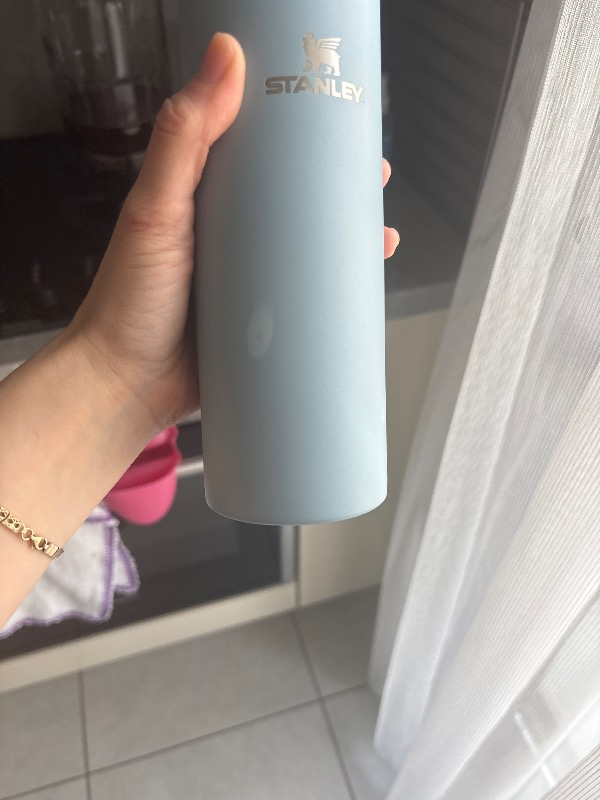 Stanley  The Aerolight 0.47 Litre Termos Eflatun Renk
