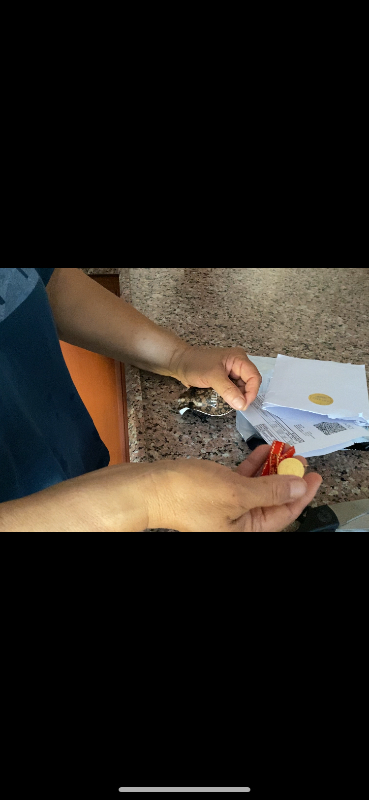 Ahlatcı Sarrafiye 1 Adet Eski Tarihli Yarım Altın