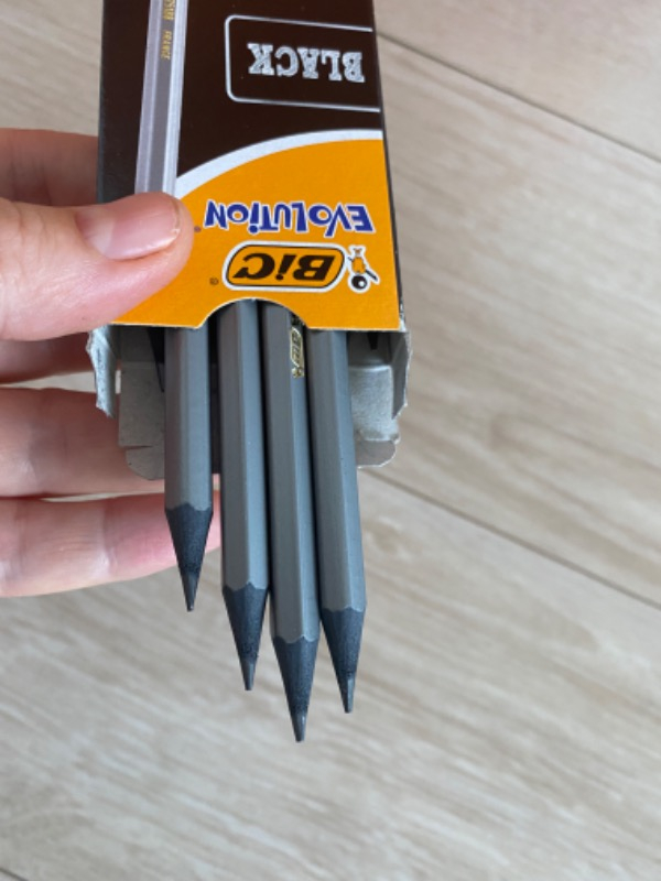 Bic Evolution Black HB Kurşun Kalem 12'li Kutu