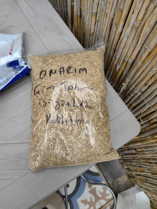 Genta Onarım Çim Tohumu 1 kg.