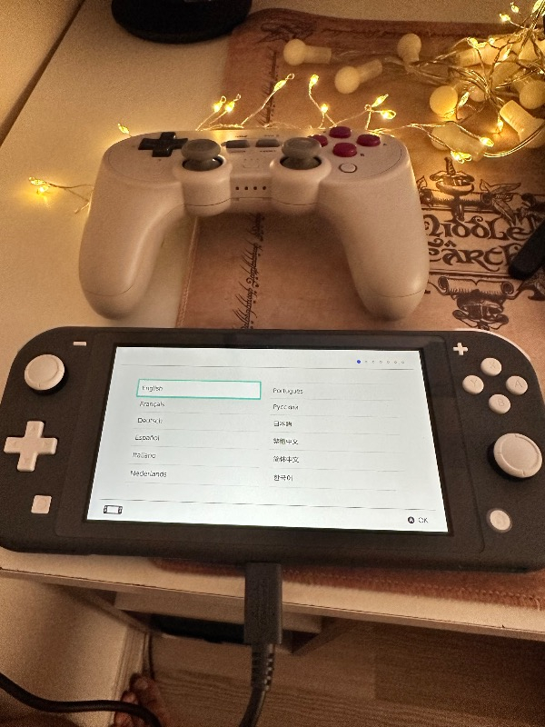 Nintendo Switch Lite Konsol Gri - G