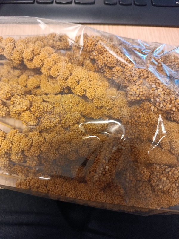 Eurogold Doğal Dal Darı 250 Gr