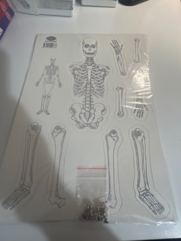 Elux Karton Iskelet Seti - Maket